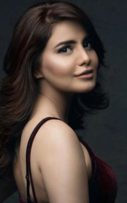 high profile Haridwar call girl